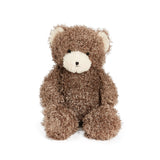 Brown teddy bear with a cream muzzle on a white background