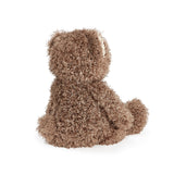 Brown fuzzy teddy bear on a white background