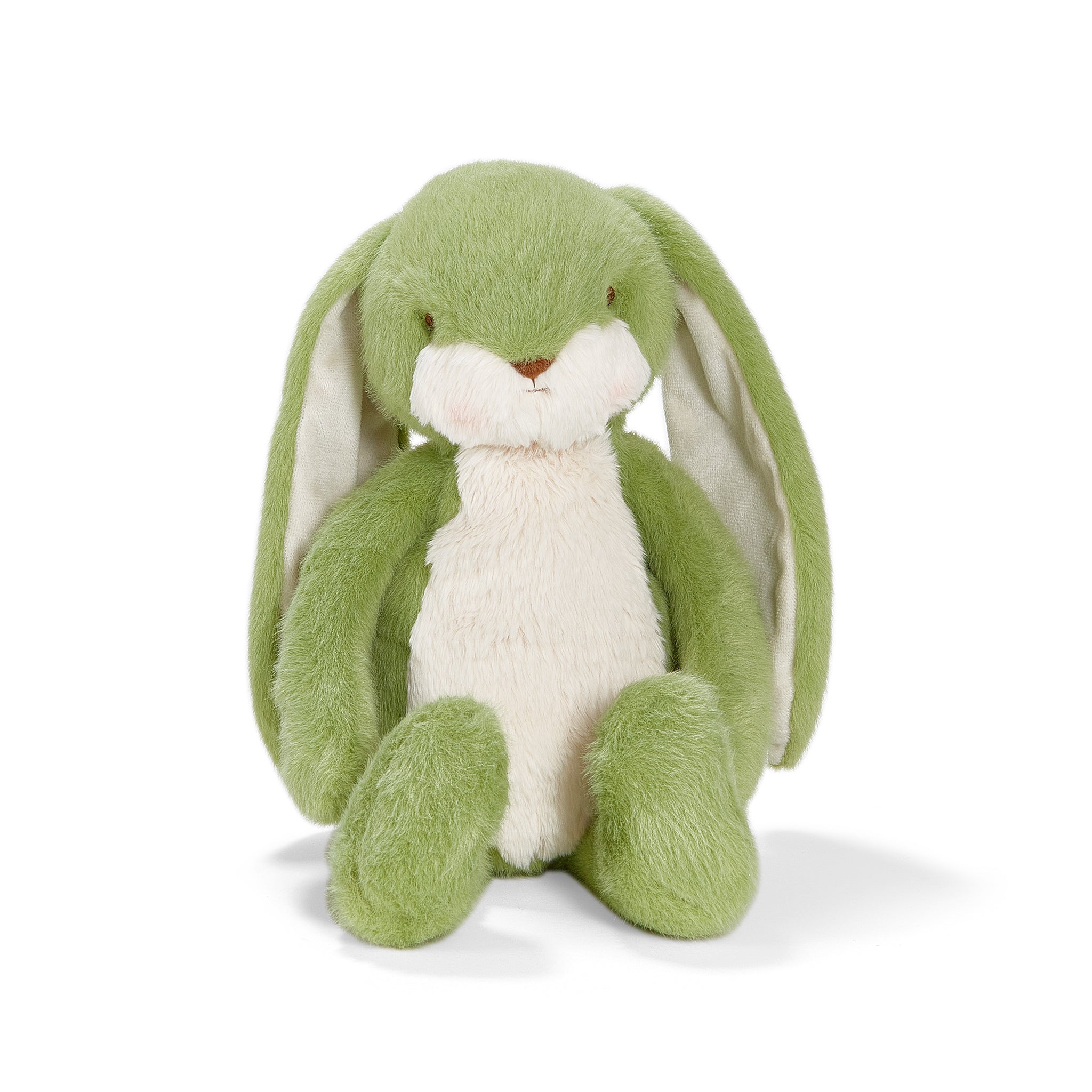 190464LittleFloppyNibblePistac