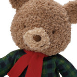 Close-up of a teddy bear wearing a red scarf and plaid shirt on a white background