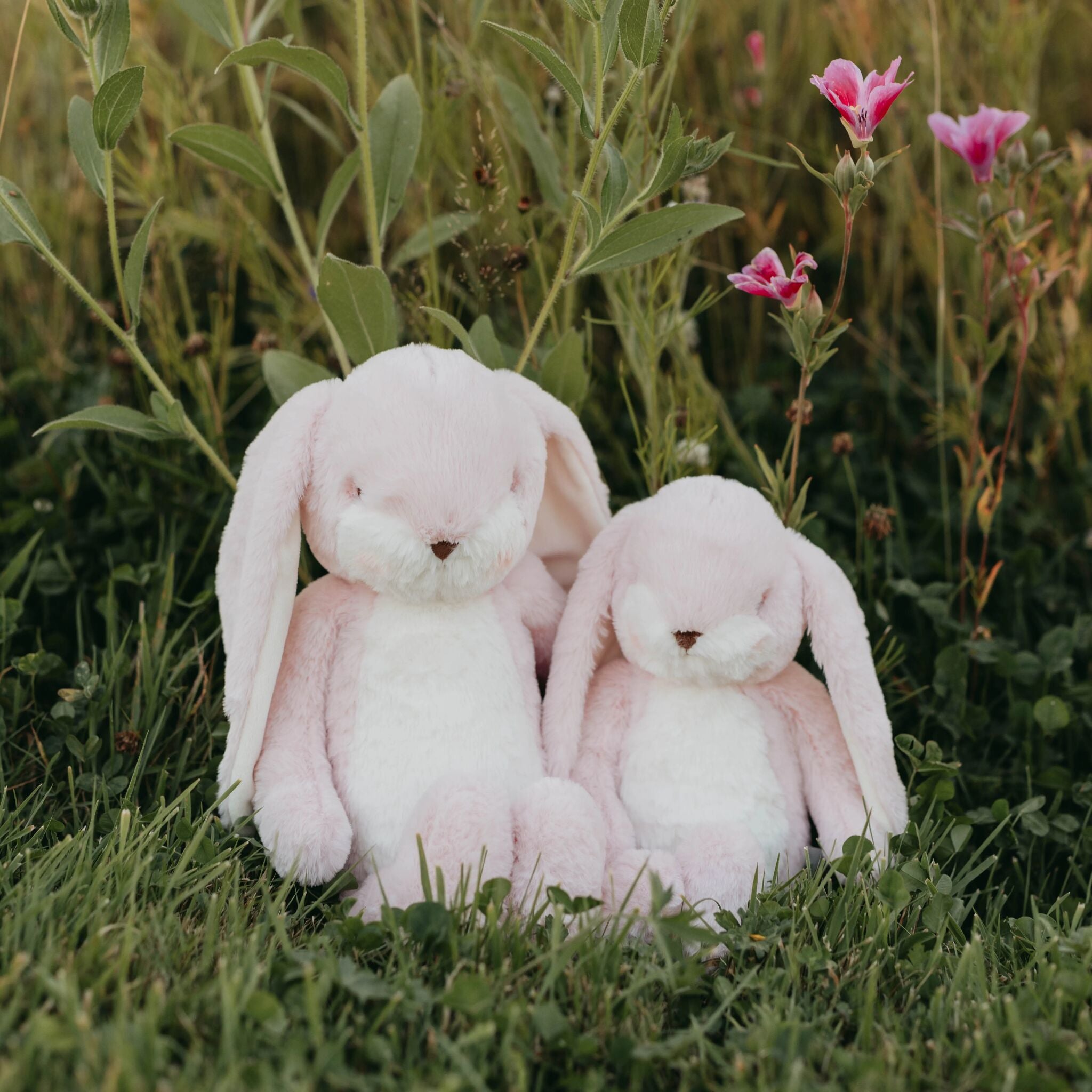 Sweet 16" Floppy Nibble Bunny – Pink-Stuffed Animal-SKU: - Bunnies By The Bay