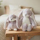 Two plush bunny toys on a wooden surface with a blurred background
