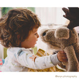 Bruce The Moose Adventures Gift Set-Gift Set-Bunnies By The Bay
