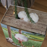 Hide and Seek Blossom Book and Plush Boxed Set-Gift Set-SKU: 104395 - Bunnies By The Bay