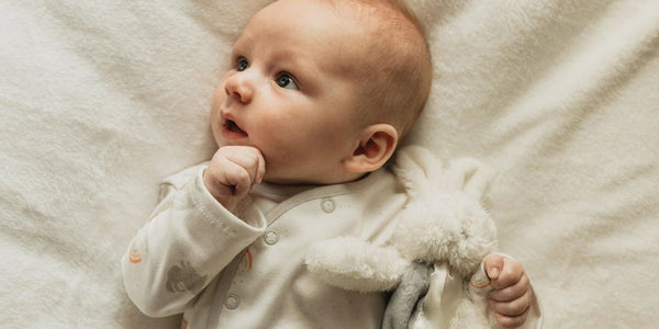 Checklist: How To Host the Perfect Baby Shower