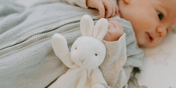 The Importance of Comfort Objects for Babies