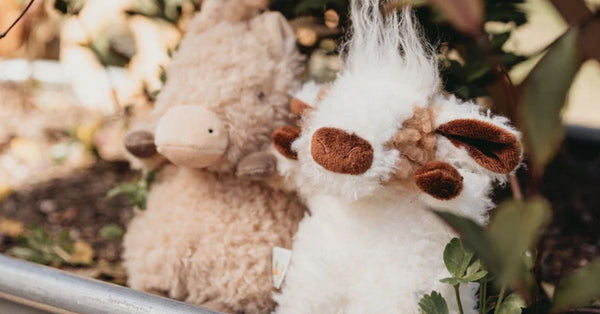 Choosing the Perfect Stuffed Animal for Your Newborn