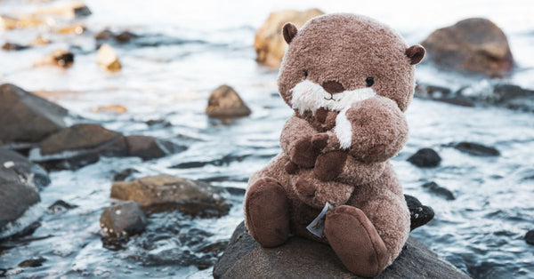 Creative Ways To Celebrate a Baby Boy’s Arrival