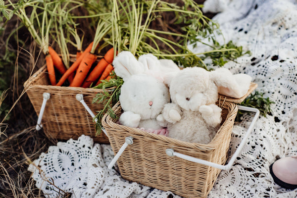 Memorable Easter Basket Gift Ideas for Kids