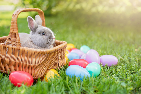 Bunny in an Easter Basket