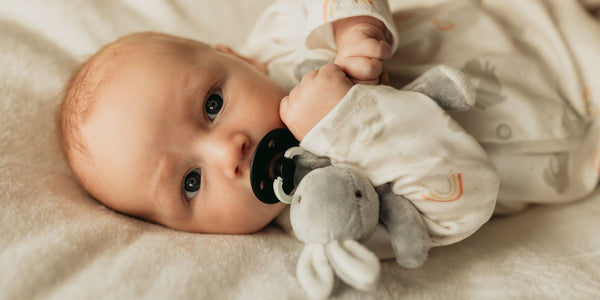 The Differences Between Pacifier Holders and Pacifier Clips