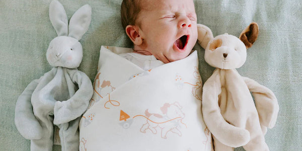 Differences Between a Sleep Sack and a Swaddle