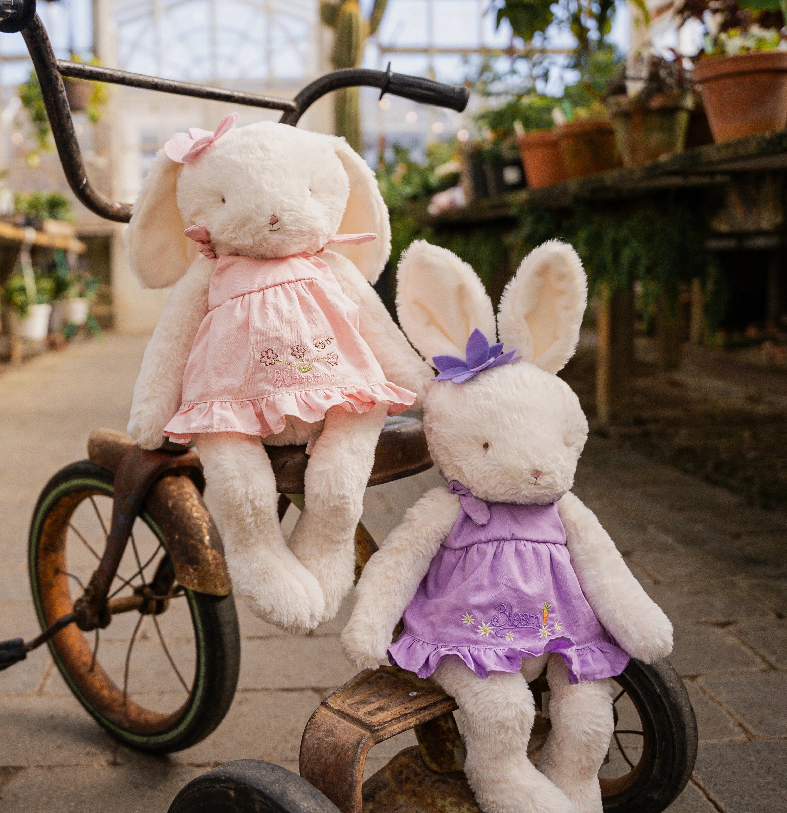 Blossom & Bloom Sister Collection