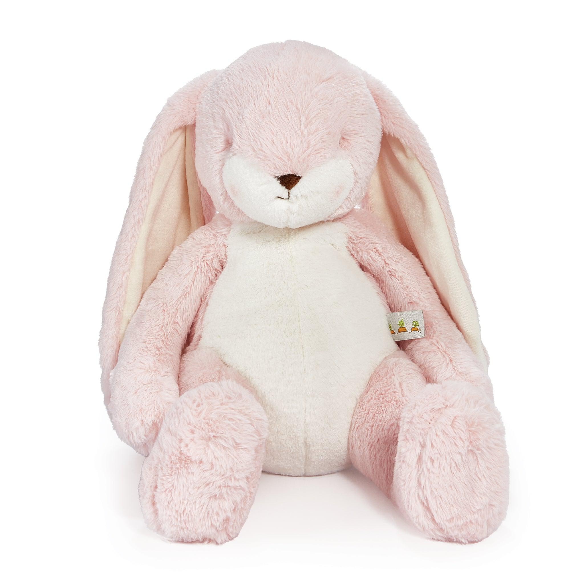 Stuffed Animal Bunny Rabbit