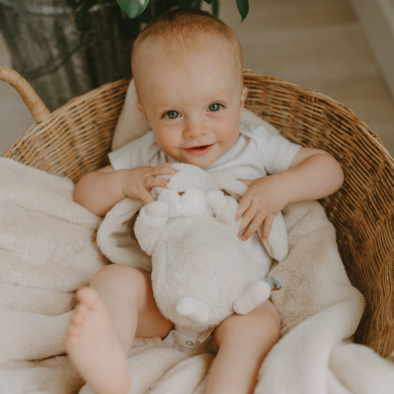 Welcome, Baby! Kiddo Gift Set - Cream-Gift Set-SKU: - Bunnies By The Bay