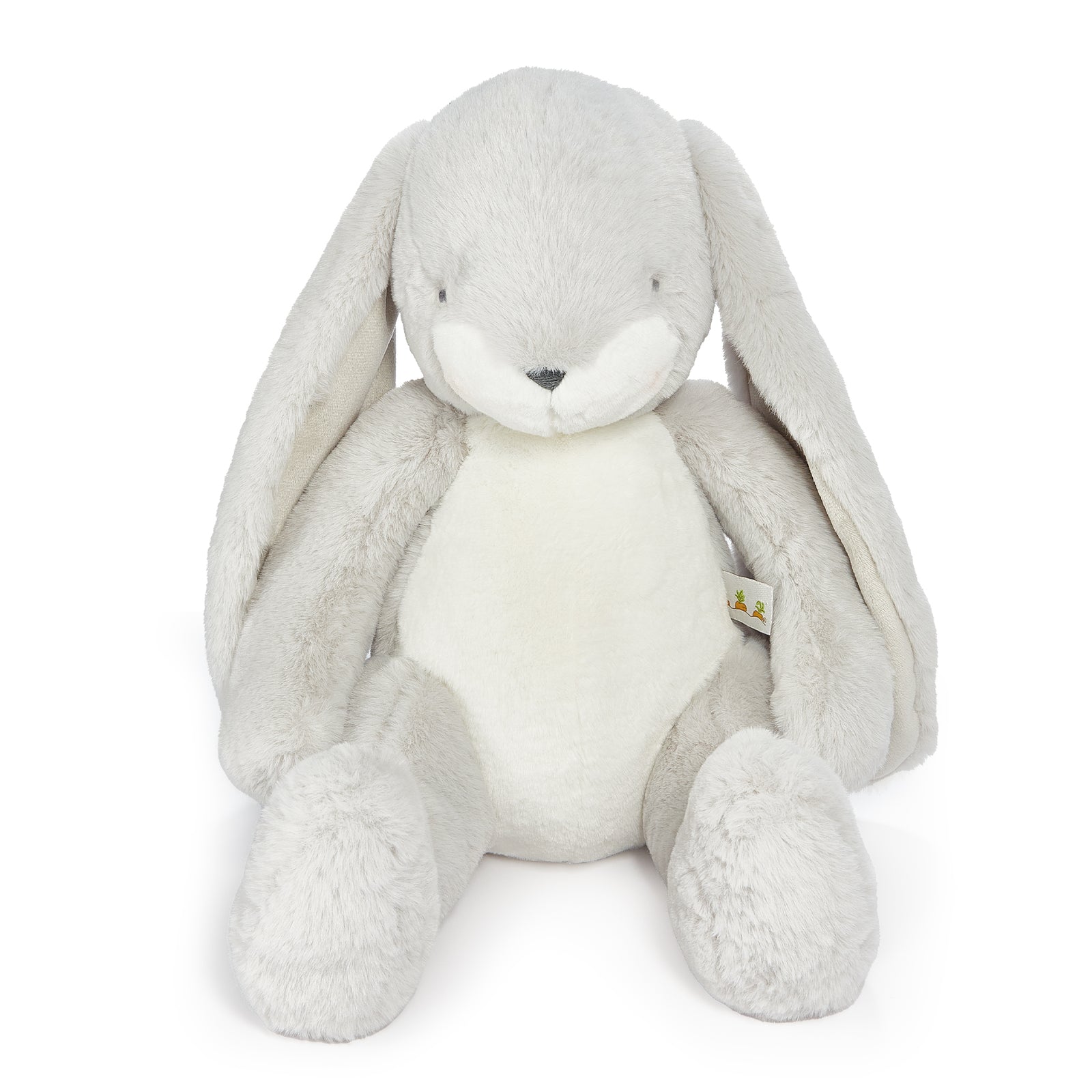 100428BigNibbleGray_0000_PPS-