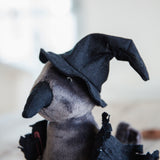 A close-up of a plush toy crow, featuring a dark gray body, black pointed hat, and black wings, photographed against a softly blurred light background.