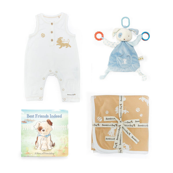 Skipit's Snuggle & Play Baby Gift Set-SKU: 190265 - Bunnies By The Bay