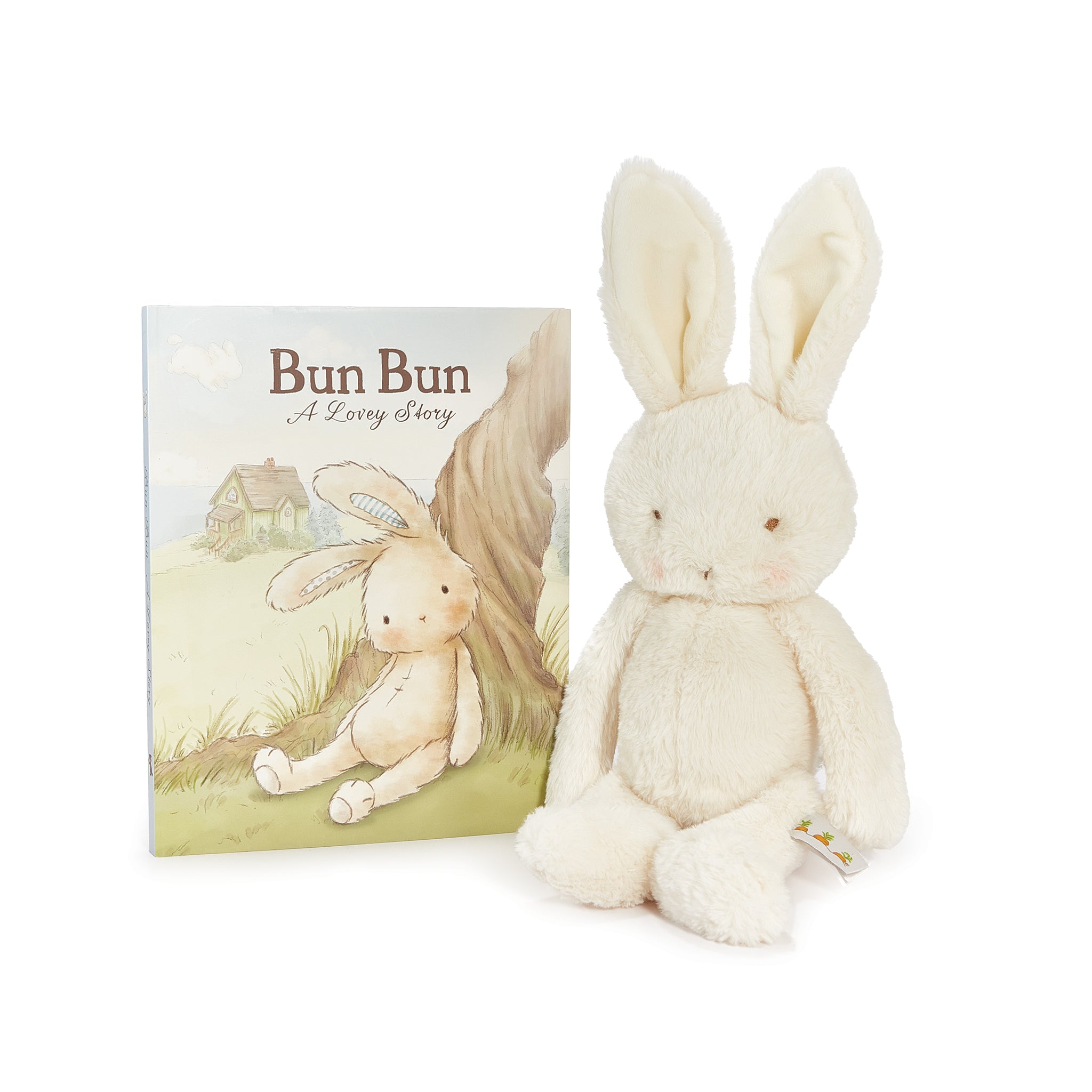 Bun Bun Bunny Book Bundle | Stuffed Bunny and Book Set