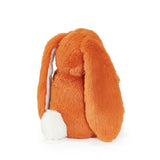 Orange bunny plush on white background
