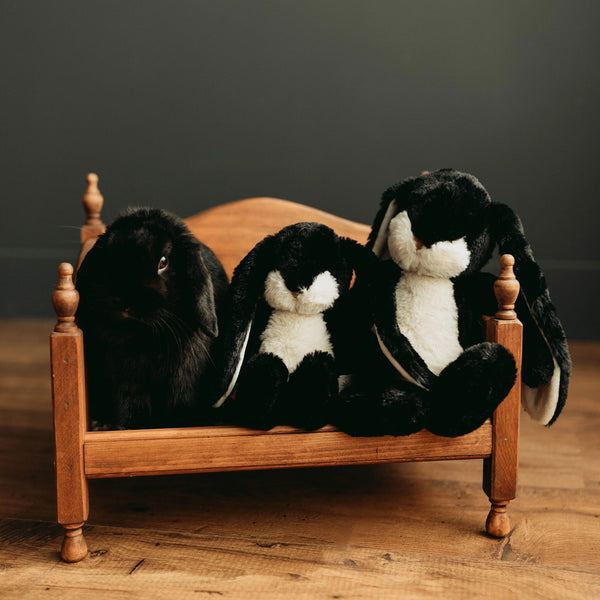 Little 12" Floppy Nibble Bunny – Black-Stuffed Animal-SKU: - Bunnies By The Bay