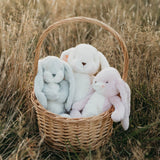 Little 12" Floppy Nibble Bunny - Pink-Stuffed Animal-SKU: - Bunnies By The Bay