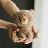 Person holding a small brown teddy bear against a neutral background