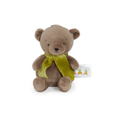 Brown teddy bear with a green scarf on a white background