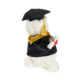Stuffed animal wearing a graduation cap and gown with a scroll on a white background