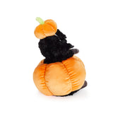 A black plush sheep wearing a pumpkin costume, sitting inside a large orange pumpkin on a clean white background.