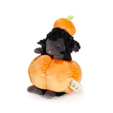 A plush toy of a black sheep sitting inside a large orange pumpkin, with a smaller orange pumpkin on its head, photographed on a clean white background.