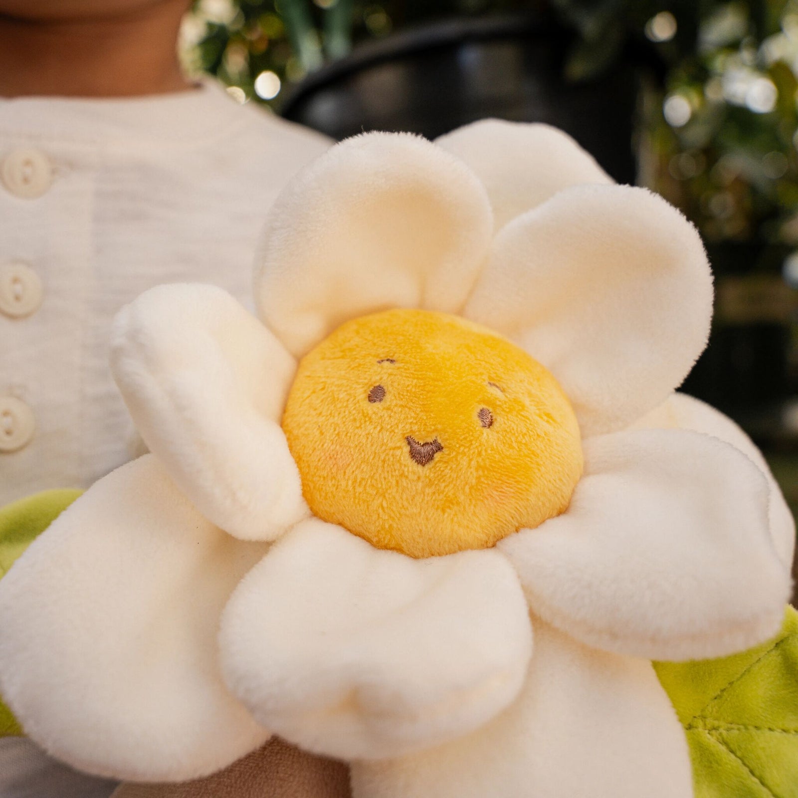 Lazy Daisy| Plush Flower