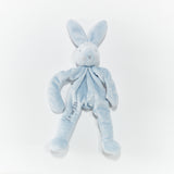 Blue bunny pacifier holder with "Irwin" embroidered on it.