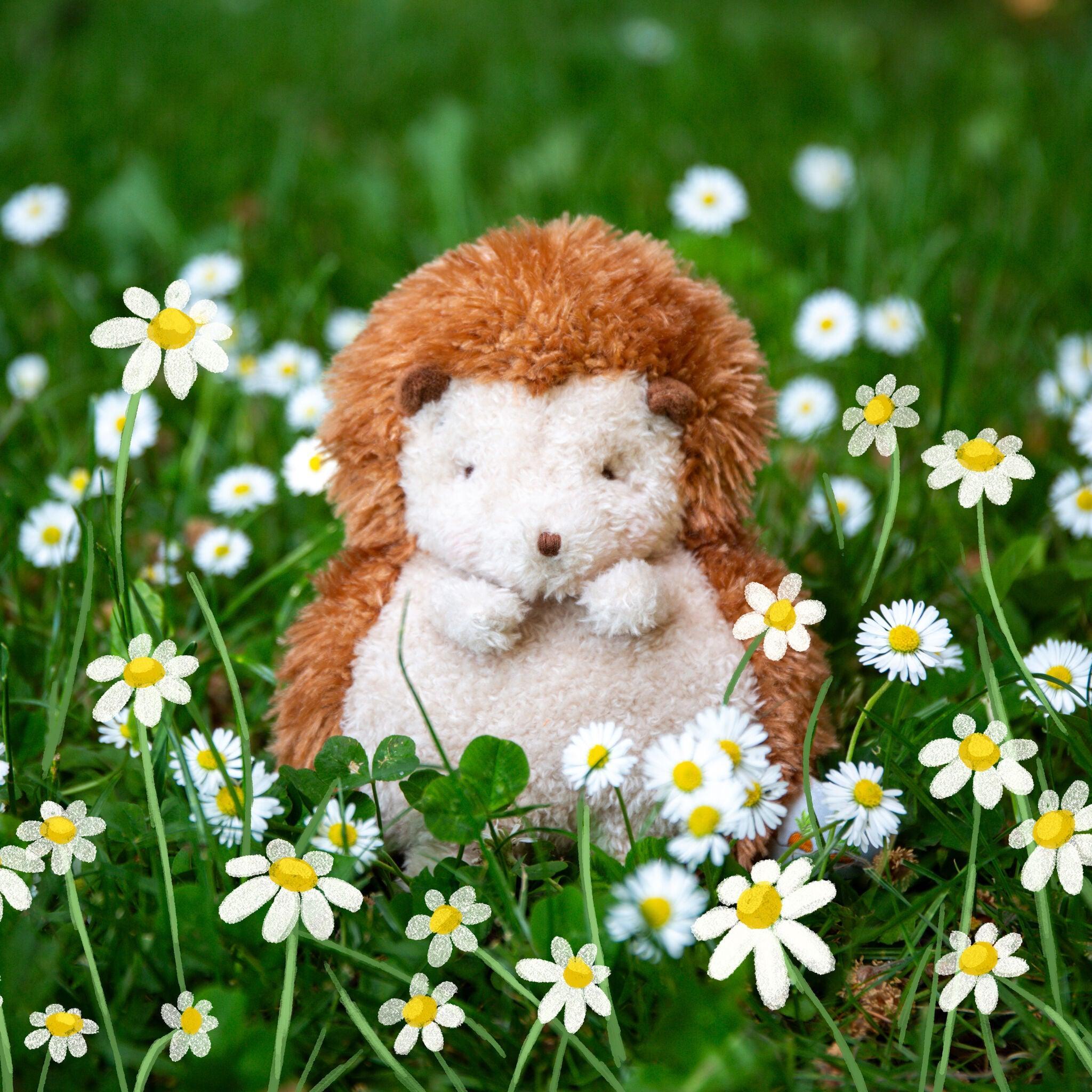 Stuffed hedgehog toy in a field of daisies