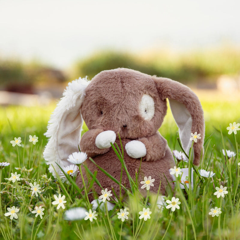 Baby Harriet Book Bundle-Book Bundle-SKU: 190590 - Bunnies By The Bay