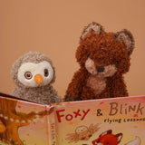 Foxy & Blink Flying Lesson Story Book-Book-SKU: - Bunnies By The Bay