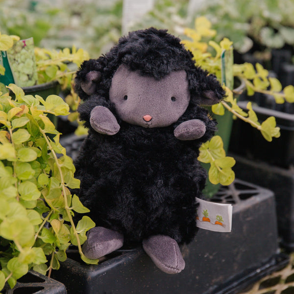 Wee Kiddo the Lamb - Black-Stuffed Animal-SKU: - Bunnies By The Bay