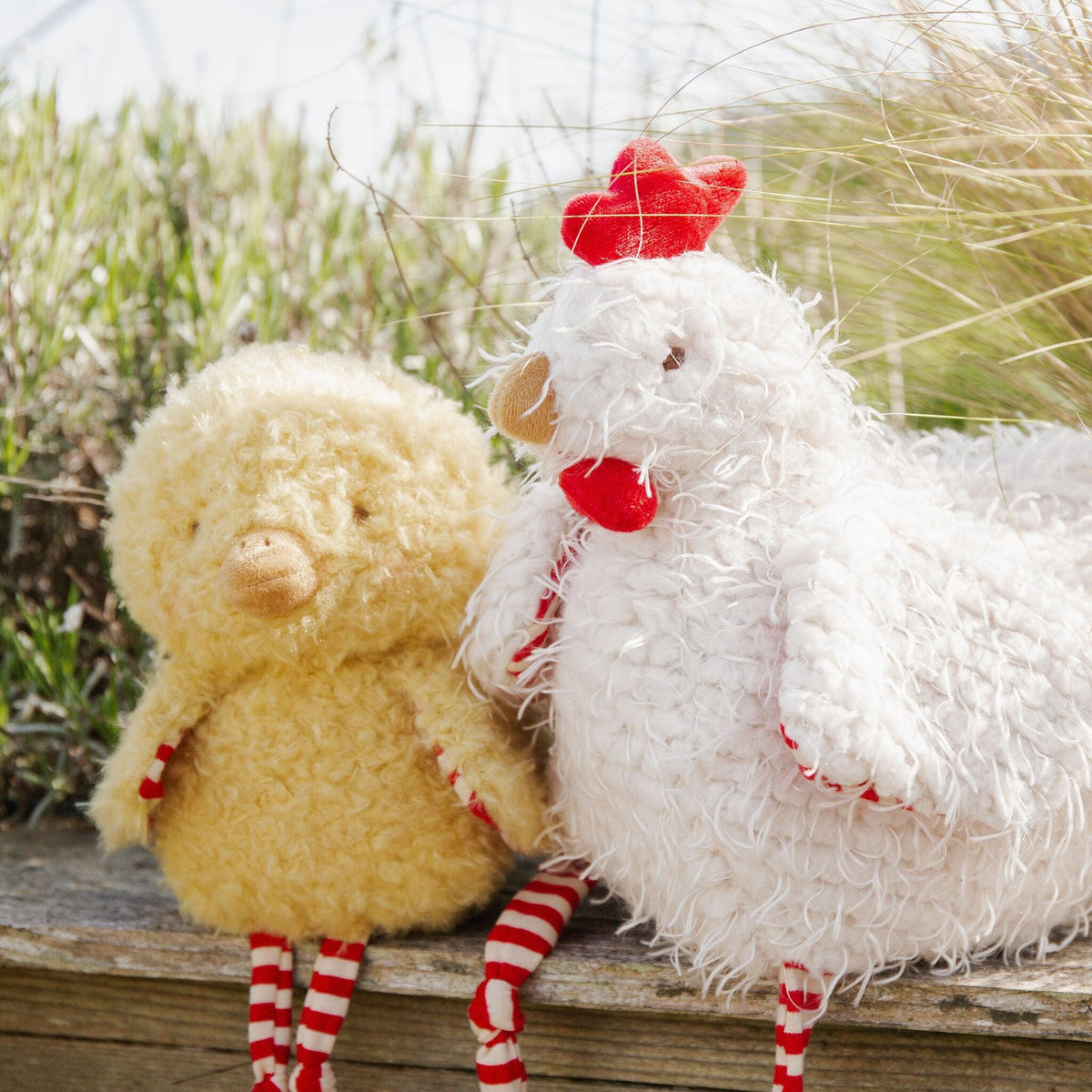 Wee Clucky Little | Farm Chicken Stuffed Animal, image size:1200x1200