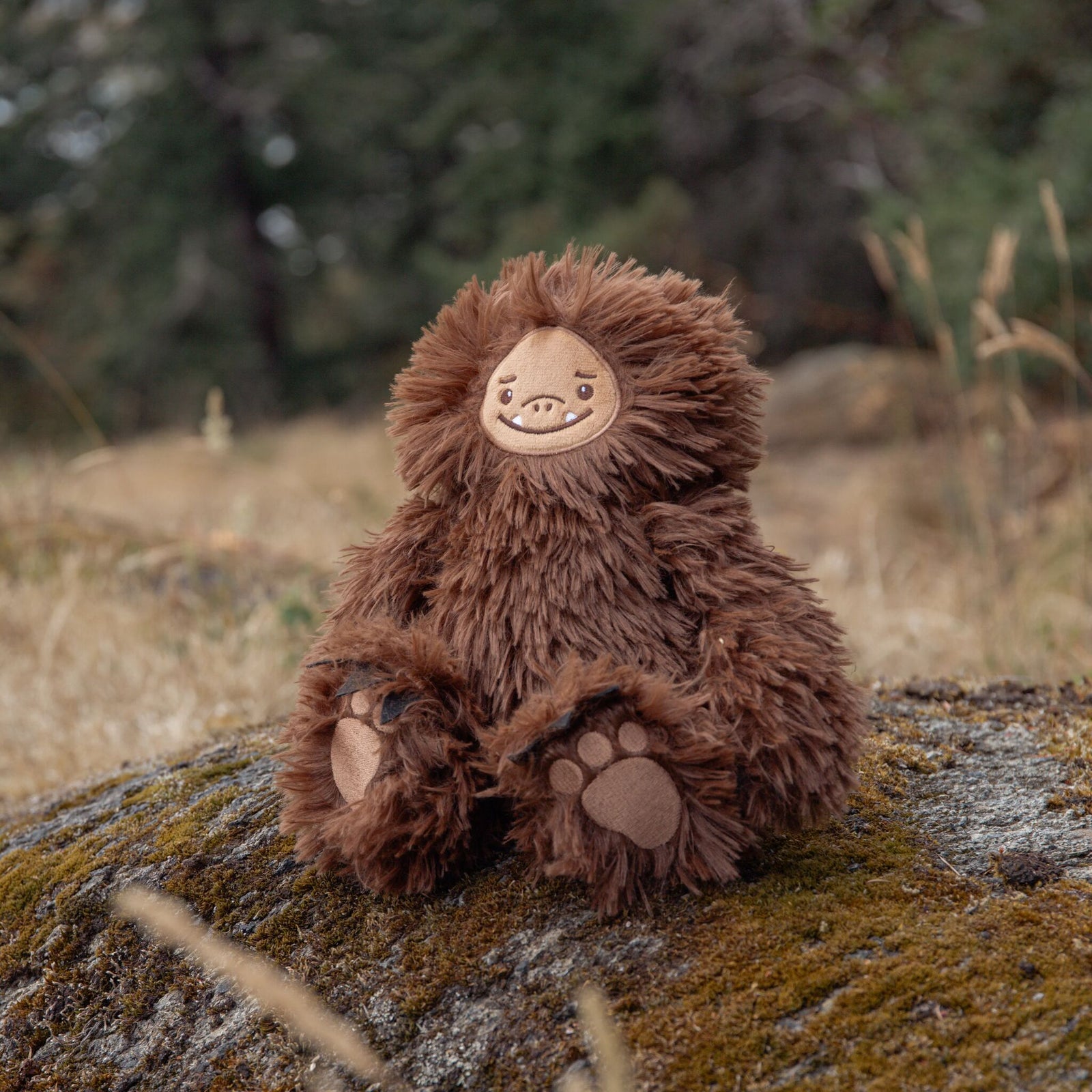 Cascadia PNW - Sully the Sasquatch