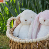Two plush bunnies in a woven basket with tulips in the background