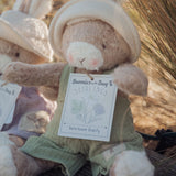 Taupe bunny plush with a tag labeled 'Bunnies by the Bay Seedlings' in a natural setting.