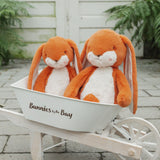 Sweet 16" Floppy Nibble Bunny – Carrot-Stuffed Animal-SKU: - Bunnies By The Bay