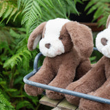 Little Floppy Mutt - Cocoa