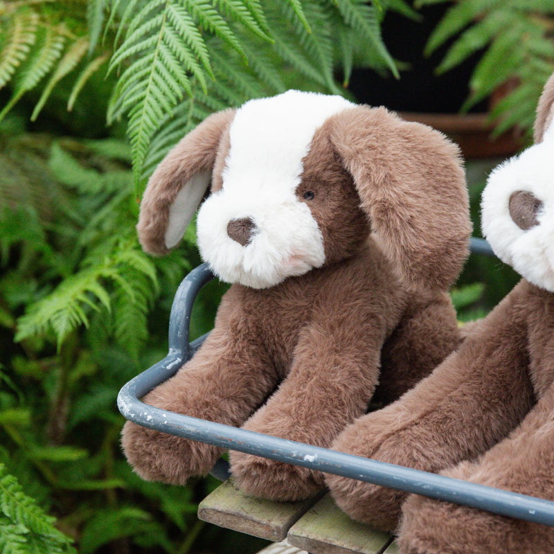 Little Floppy Mutt - Cocoa