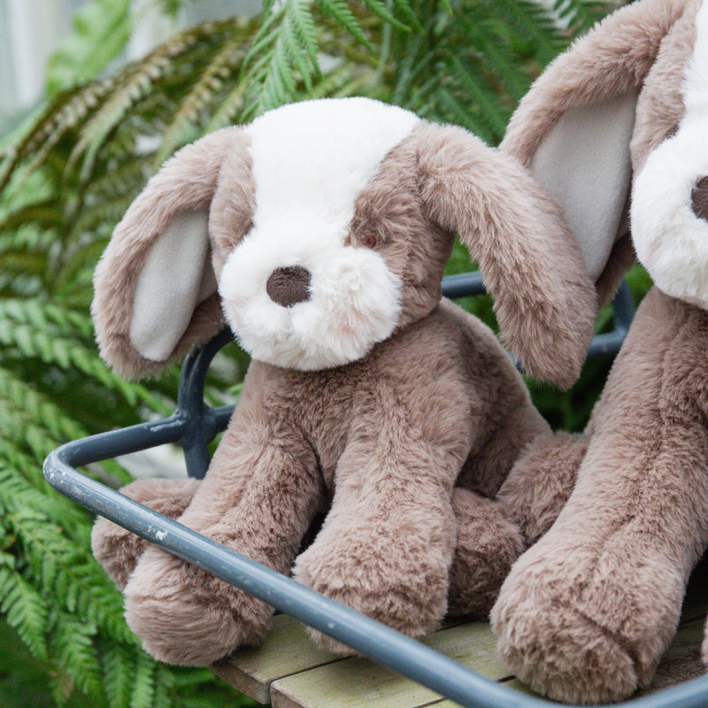 Little Floppy Mutt - Toffee-Stuffed Animal-SKU: - Bunnies By The Bay