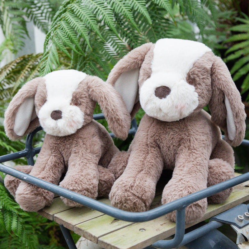 Sweet Floppy Mutt - Toffee-Stuffed Animal-SKU: - Bunnies By The Bay