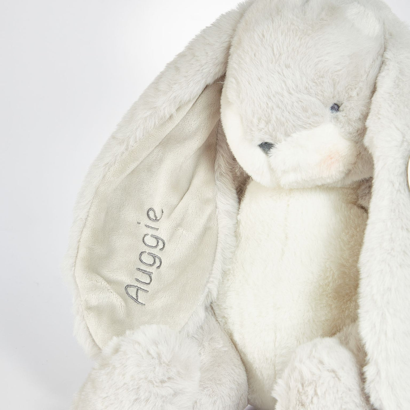 Little Nibble Gray Book Bundle