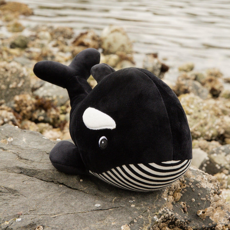 Winnie the Orca-Stuffed Animal-SKU: 190082 - Bunnies By The Bay