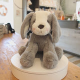 Sweet Floppy Mutt - Steel