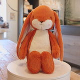 Sweet 16" Floppy Nibble Bunny – Carrot